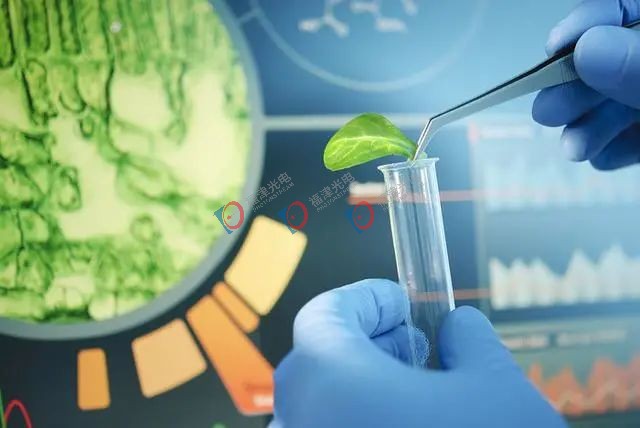 新型激光束颠覆经典物理学理论