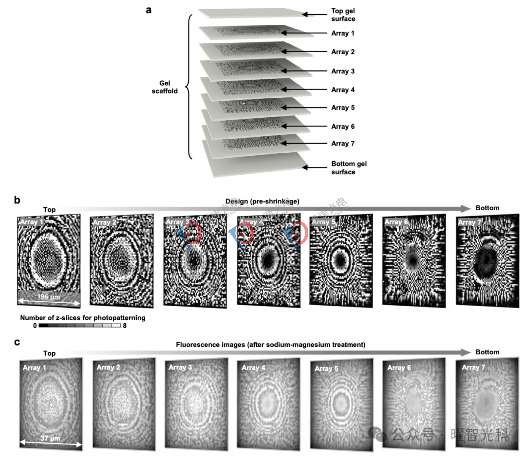 640 (3).png